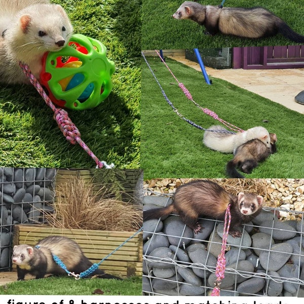 Petit animal, lapin, furet, 8 harnais et laisses assortis