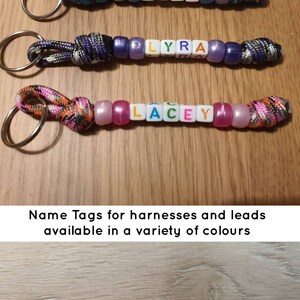 Puede incluir: Llaveros con los nombres Luca, Lyra, Lacey y Rocket. Cada llavero presenta un nombre escrito con cuentas de letras coloridas, conectadas por un cord&oacute;n y un anillo met&aacute;lico. Dise&ntilde;ado para arneses y correas.