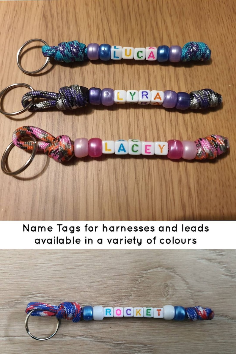 Puede incluir: Llaveros con los nombres Luca, Lyra, Lacey y Rocket. Cada llavero presenta un nombre escrito con cuentas de letras coloridas, conectadas por un cord&oacute;n y un anillo met&aacute;lico. Dise&ntilde;ado para arneses y correas.
