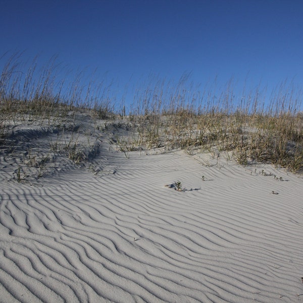 Sand dunes on the east coast print