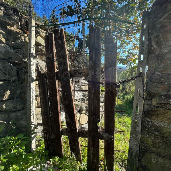 Garden gate in Italy with lemon tree in background photo