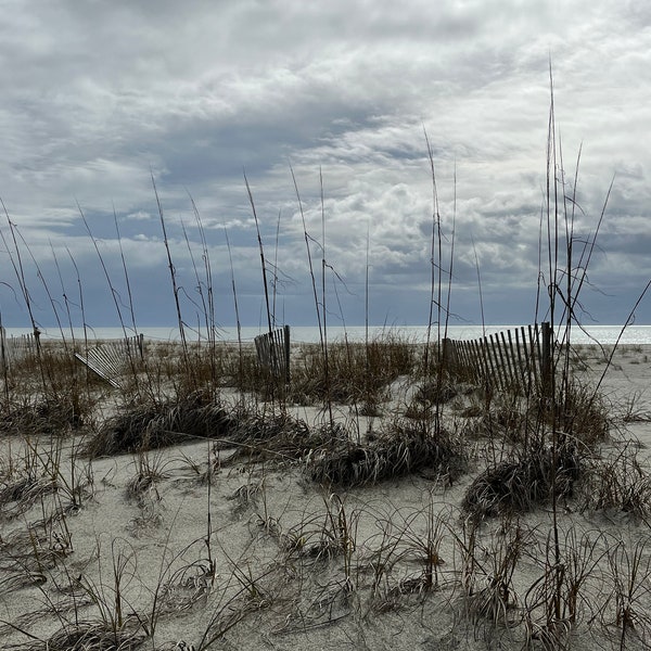 Beach dunes and cloudy skies photo