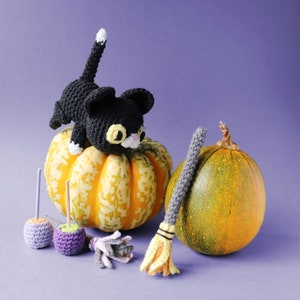 Puede incluir: Una figurita de gato de crochet negro se sienta encima de una calabaza amarilla y naranja. Una escoba de crochet gris y amarilla se encuentra junto a una calabaza naranja más pequeña. Hay dos pequeñas decoraciones con forma de maíz dulce en la mesa.