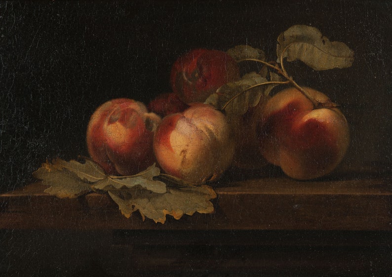 Vintage Kitchen Wall Decor Downloadable Still Life Oil | Etsy