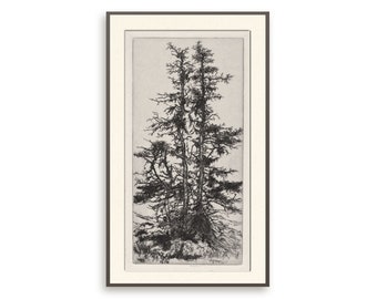 Vintage Tree Art Etsy