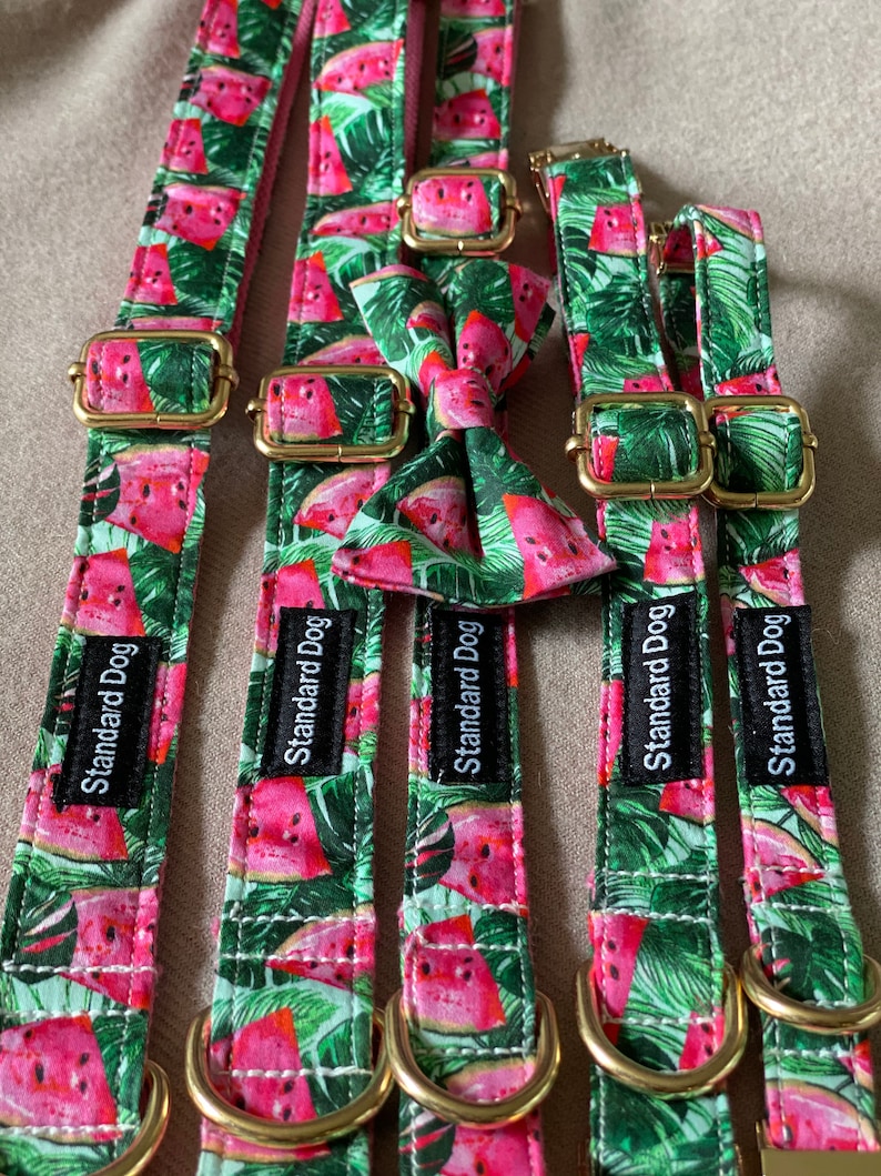 large dog collar dog collar with bow green dog collar Watermelon leaf dog collar small dog collar Pink Dog collar Standard Dog Collar