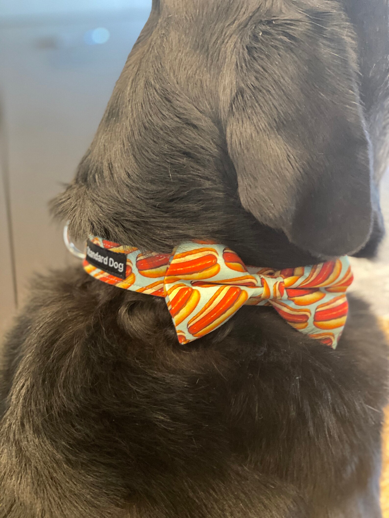 Standard Dog Hot Dog Collar Dog Collar With Hot Dog Design Etsy