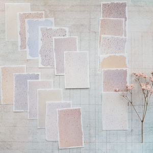 Könnte beinhalten: Eine Sammlung rechteckiger Papierkarten in verschiedenen Pastellfarben, darunter Lavendel, Pfirsich und Creme. Die Karten haben eine strukturierte Oberfläche und zerrissene Kanten, angeordnet auf einem Hintergrund mit Rastermuster. Ein Zweig rosa Blüten befindet sich in der unteren rechten Ecke.