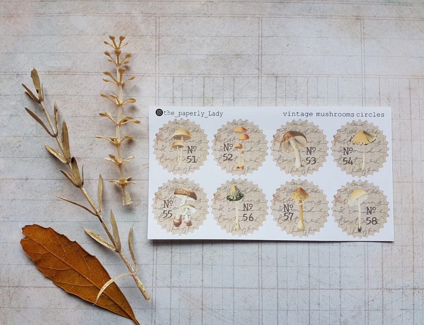 Vintage Mushrooms Circles / Sticker Stamps | Sticker