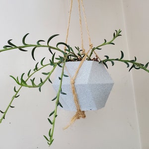 Fioriera esagonale a spirale personalizzata, vaso fioriere interno stampato in 3D con drenaggio, non ceramica, fioriera succulenta, fioriera poligonale di piante d'appartamento