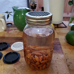 May include: A clear glass jar with a silver lid and a black mesh insert. The jar is filled with water and almonds.