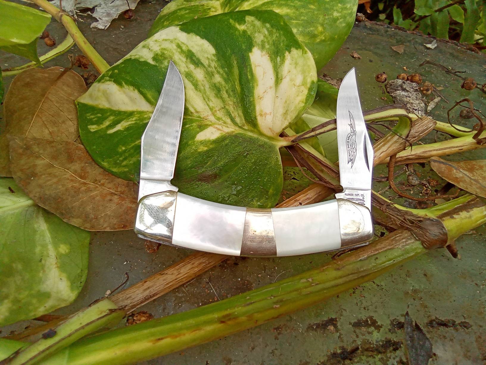 Parker Knife Japan - Etsy