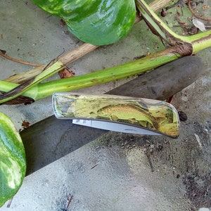 May include: A pocket knife with a clear handle featuring a printed image of a trout fish.