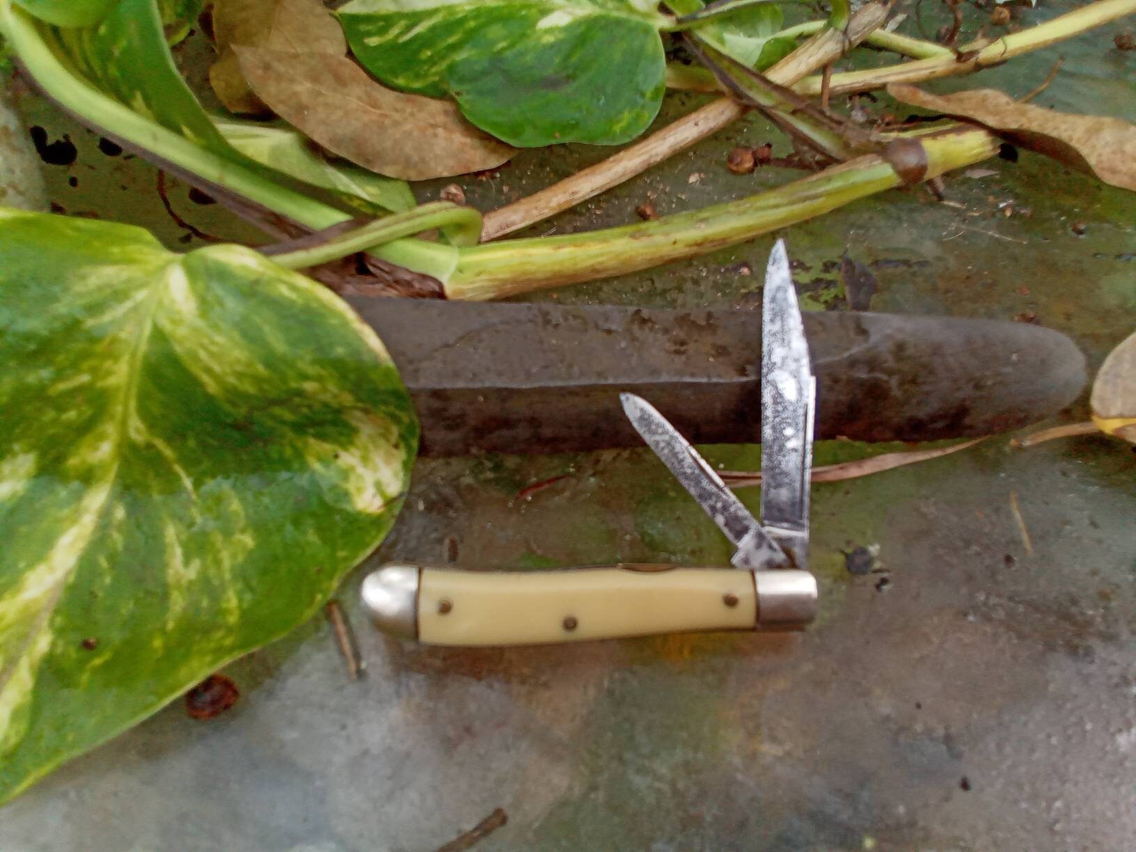 Hammer Brand USA 2 Blade Knife Old Used Knives as Found at the Market