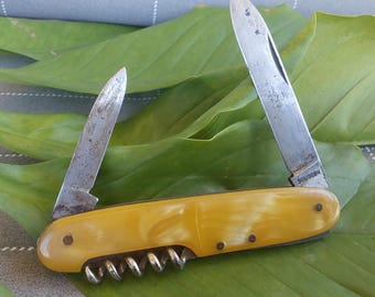 Navaja de bolsillo de camarero con mango de celuloide - Navajas alemanas antiguas - Tal como se encuentran en el mercado