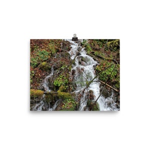Waterfall Stream Poster