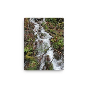 Waterfall Stream Canvas