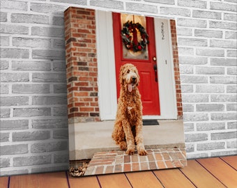 May include: A canvas print featuring a golden doodle dog sitting on a brick porch in front of a red door. The door has a wreath and the number 282. The dog has its tongue out.