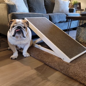 Dachshund ramp for couch store