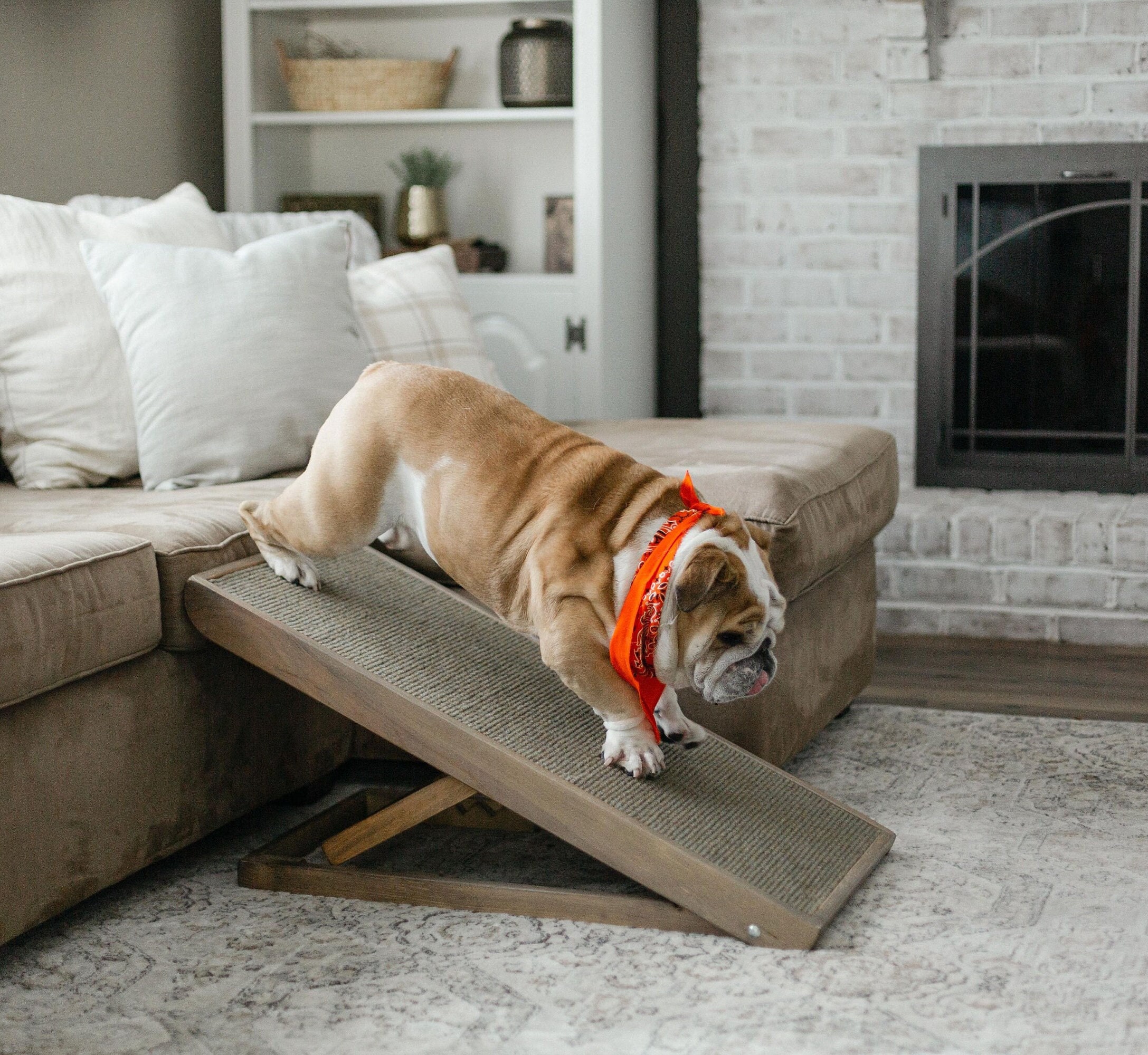 Dog Ramp Pet Ramp Adjustable Dog Ramp Made in USA Always Free