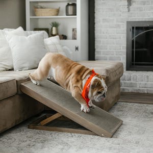 Adjustable Folding Dog Ramp for Bed or Couch | Large Non-Slip Pet Ramp | Wooden Dog Stairs for Small and Large Dogs