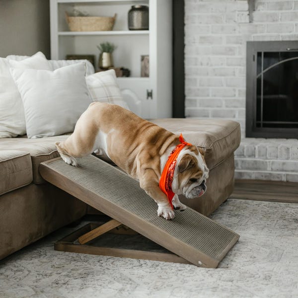 Adjustable Folding Dog Ramp for Bed or Couch | Large Non-Slip Pet Ramp | Wooden Dog Stairs for Small and Large Dogs
