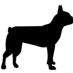 Clip-art do contorno da silhueta do Boston Terrier, SVG, PDF, AI, Jpeg