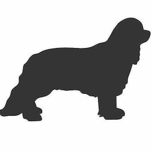 ClipArt della sagoma del cane King Charles Cavalier Spaniel, SVG, PDF, Ai, Jpeg