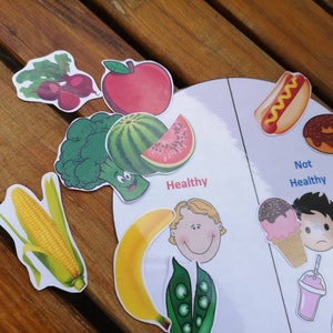 Healthy Unhealthy Food Laminated Sorting For Children EYFS | Etsy