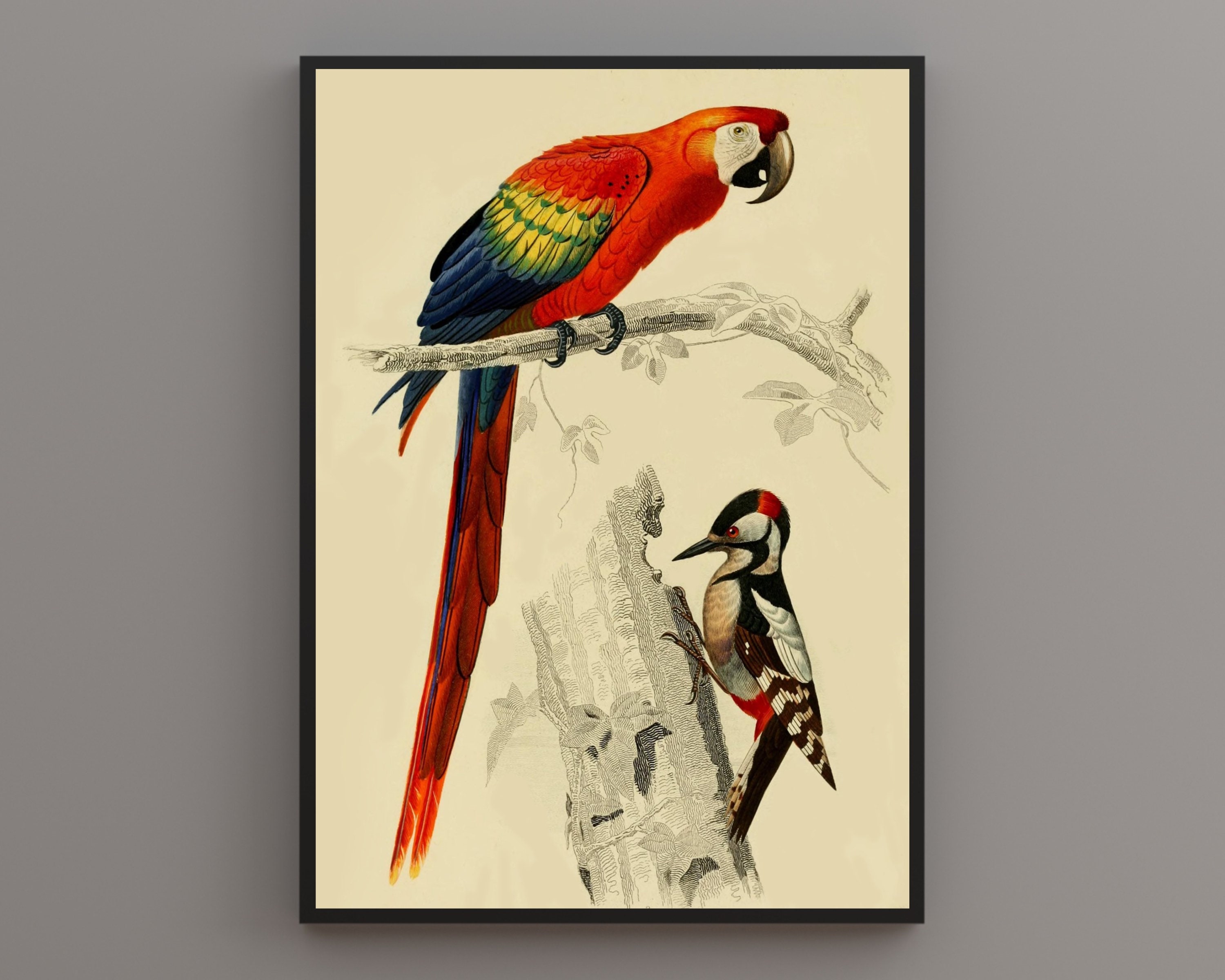 Vintage Reverse Painted Foil Art Parrot Black and Orange 11 X 17 