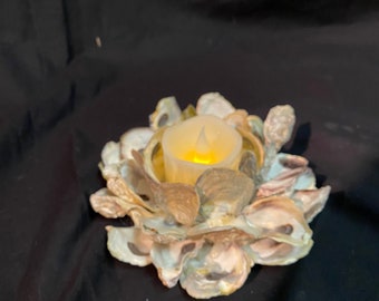 LiShay Oyster Shell Pillar Candle Holder Seashell Flower Votive-White Brown