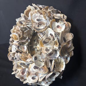 Medium oyster shell 10 inch mirror ready to hang