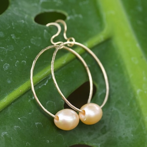 14 kt gold filled Hoop earrings with pink Edison pearls