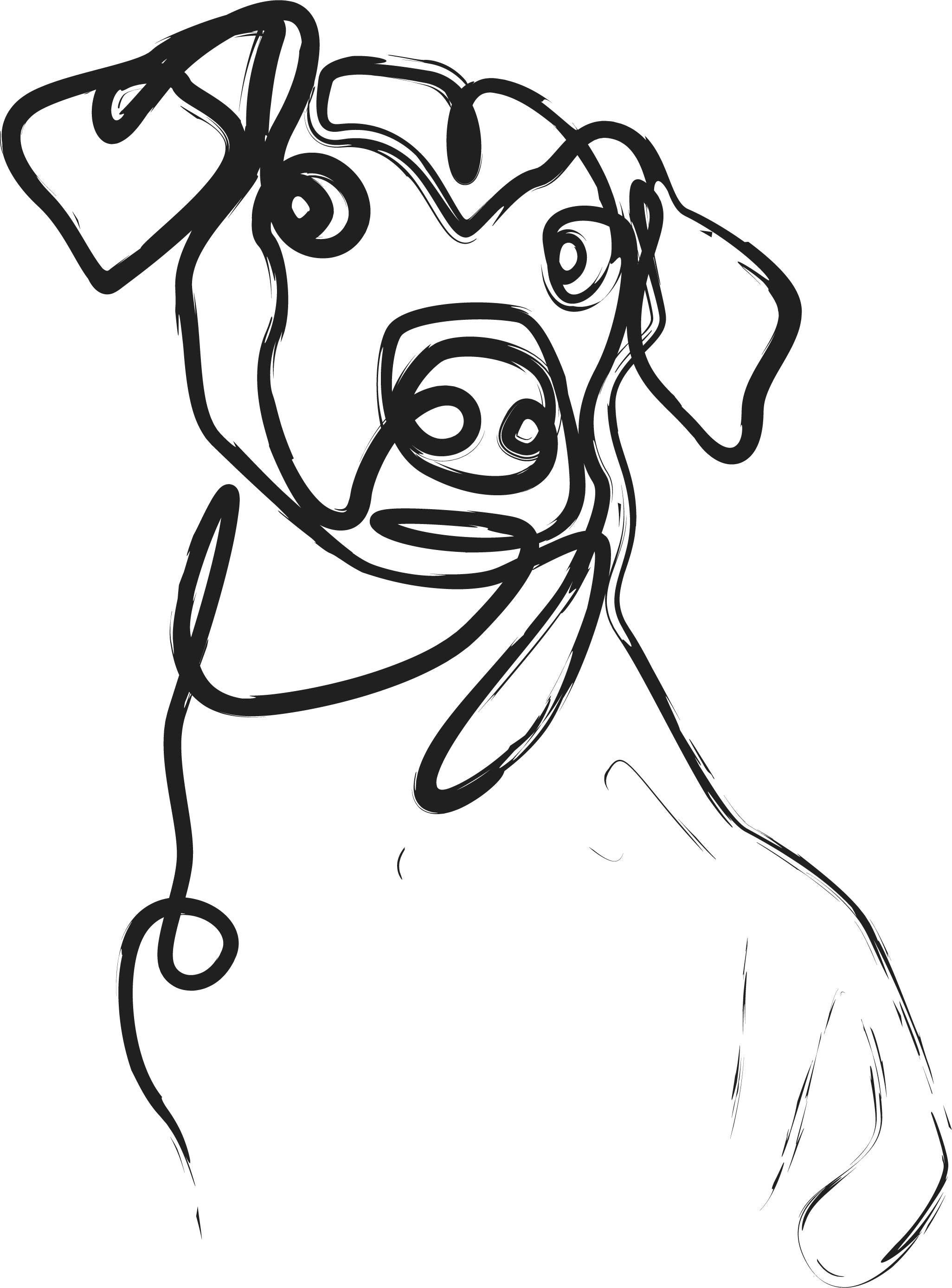 Custom Pet Portrait Line Drawing Etsy