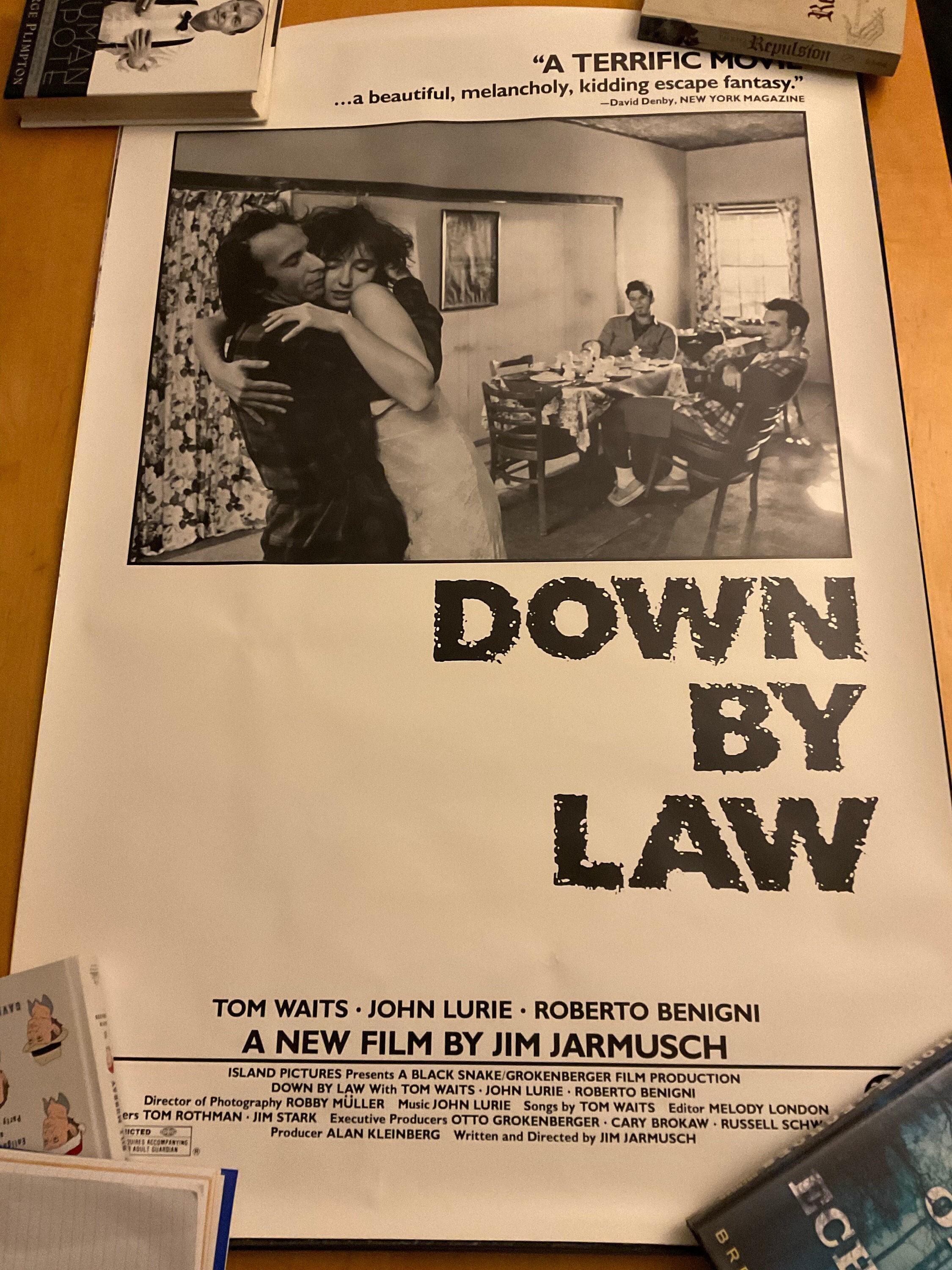“Fatherland / Down By Law”  Original Mini Quad Poster - Film Poster - Movie Poster