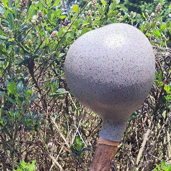 Grey speckled gourd Rattle