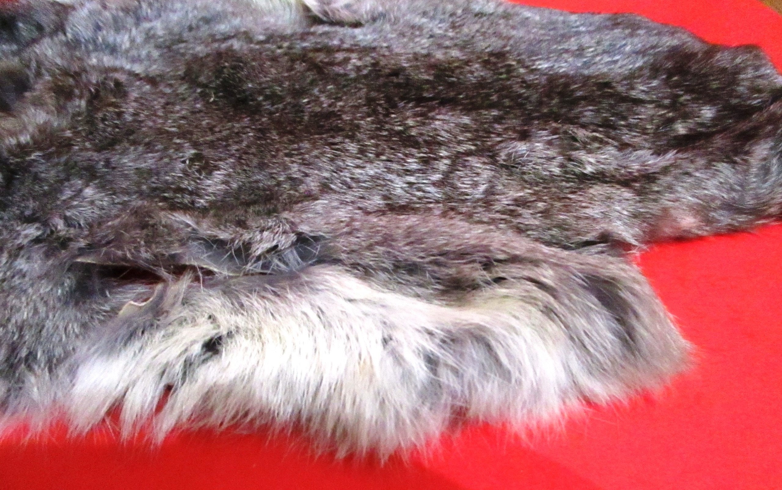Rabbit Pelt Fur Hide Tanned Etsy