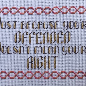 Just Because You&#39;re Offended, Doesn&#39;t Mean You&#39;re Right Cross Stitch Pattern