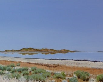 The View from Antelope Island