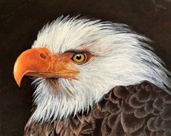 Eagle Portrait