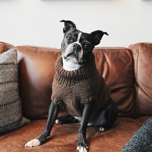 Knit dog sweater straight needles deals
