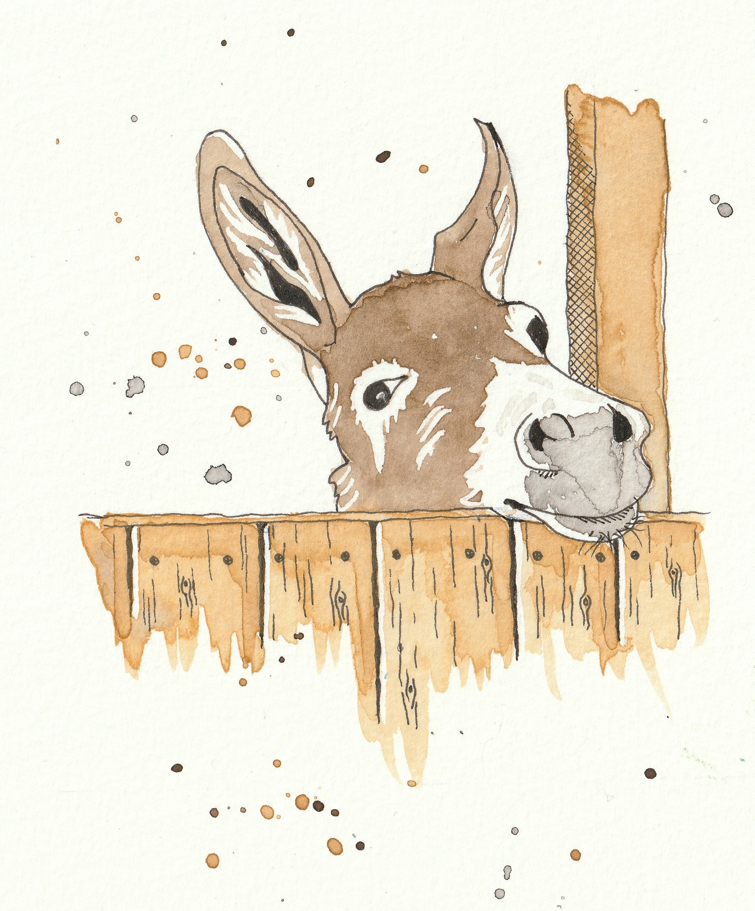 Pack of five animal greeting cards Etsy