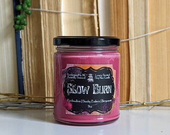 Vela de combustión lenta, velas de tropos literarios románticos, regalo para amantes de los libros obscenos de ACOTAR, producto más vendido de Fourth Wing, regalo para lectores de tropos literarios románticos.