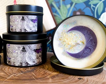 Quicksilver Decorated Candles, Kingfisher and Saeris Fane Book Lover Gift, Dark Academia Bookish Bookshelf Decor, Quicksilver Reader Gifts