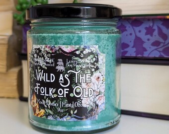 The Stolen Heir Book Candle, The Cruel Prince Merch Book Lover Candle, Folk Of the Air Bookish Bookshelf Decor, Jude Cardan Literary Candle