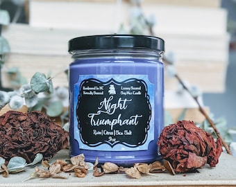 Rhysand Candle, ACOTAR Book Lover Candle, A Court of Thorns and Roses Bookish Candles Gift, Velaris ACOMAF Sarah J Mass Literary Candle