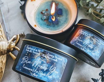 Orion Zodiac Academy Bookish Candles, Book Candle Funny Mothers Day Gift, Book Lover Gift, Literary Best Friend Gifts, Dark Academia Decor