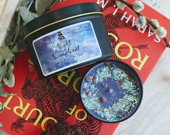 Rhysand Candle, ACOTAR Book Lover Candle, A Court of Thorns and Roses Bookish Candles Gift, Velaris ACOMAF Sarah J Mass Literary Candle