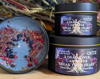 Raihn Bookish Candles Gifts, Book Merch Decorative Aesthetic Candles, Booktok Book Lover Gift, Bookstagram Best Friend Mothers Day Gift