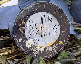 Zodiac Academy Book Sticker, Booktok Book Merch, Laptop Sticker, Vinyl Stickers, Bookish Gifts, Book Lover Gift, Mothers Day Gift
